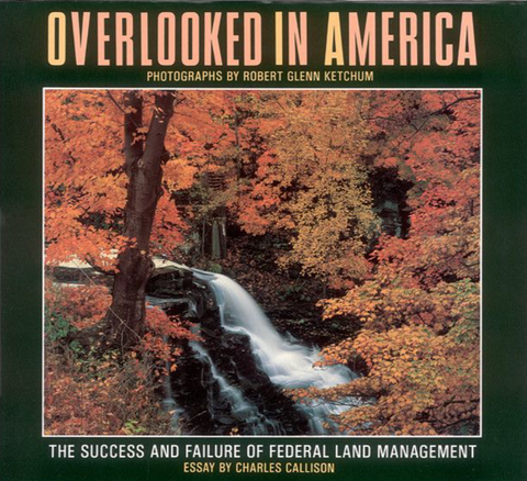 Overlooked in America