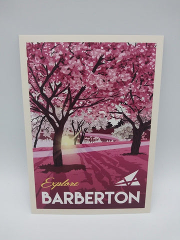 Postcard Set of 12 Explore Barberton Postcards